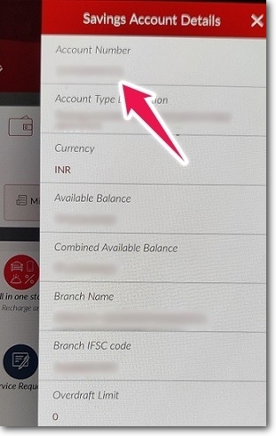 Using Mobile Banking App